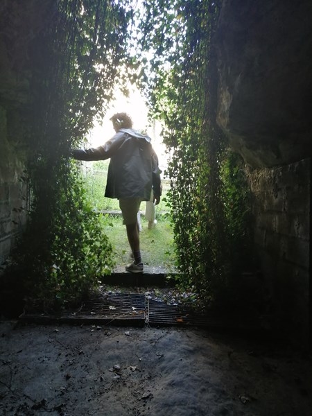 <p>De beste cabernet franc-baserte r&oslash;dvinene i Loire kommer fra Touraine, i f&oslash;rste rekke fra omr&aring;dene rundt landsbyene Chinon, Bourgueil og St.-Nicolas-de-Bourgueil (som ogs&aring; har lov til &aring; kalle seg Bourgueil). De best vinmarkene i Chinon ligger i &aring;ssidene &oslash;st for byen, der jordsmonnet best&aring;r av kalkholdig leire ispedd grusmasser, og ogs&aring; fra mer krittholdige vinmarker nord og vest for landsbyen. Druematerialet til ukens vin kommer fra vinmarker p&aring; plat&aring;et rundt eiendommen Ch. de Coulaine. Her er jordsmonnet en miks av kalkstein, sand og grus.</p>
<p>Cabernet franc trenger god modning for &aring; utvikle full aromatisk bredde, rikdom og kompleksitet. Og naturen begunstiger ikke regionen med slike &aring;rganger s&aring; altfor ofte. I mindre modne &aring;rganger f&aring;r cabernet franc en gr&oslash;nn og stilkete karakter som sjelden vekker stor entusiasme. Vinene virker da som oftest hule, tynne og overflatiske. Men i rike og varme &aring;r kan cabernet franc vise seg fra en helt annen side. I slike &aring;rganger lagrer de like godt og lenge som god cru class&eacute; fra M&eacute;doc. En gammel og vellagret Chinon eller Bourgueil kan v&aelig;re den reneste &aring;penbaring i aromatisk kompleksitet og smaksmessig dybde. Lokalt i Loire er det stadig mulig &aring; finne slike viner p&aring; restaurantenes vinkart. Vanligvis er de forholdsvis rimelige ogs&aring;.</p>
<p>Ch. de Coulaine drives i dag etter det som i praksis om ikke i navnet er biodynamisk landbruk. Det inneb&aelig;rer nulltoleranse i forhold til bruk av kjemiske plantevernmidler. Vinmarkene holdes i god mikrobiologisk balanse. Det bidrar til &aring; holde avlingene nede (ca 35 hl/hk) i tillegg til &aring; motvirke sykdommer og angrep fra skadelige insekter. Ch. de Coulaine produserer flere forskjellige cuv&eacute;er basert p&aring; cabernet franc, der de eldste vinstokkene g&aring;r inn i de to cuv&eacute;ene Clos Turpenay og La Diablesse, som tilbringer henholdsvis 10 og 18 mnd p&aring; sm&aring; franske eikefat.</p>