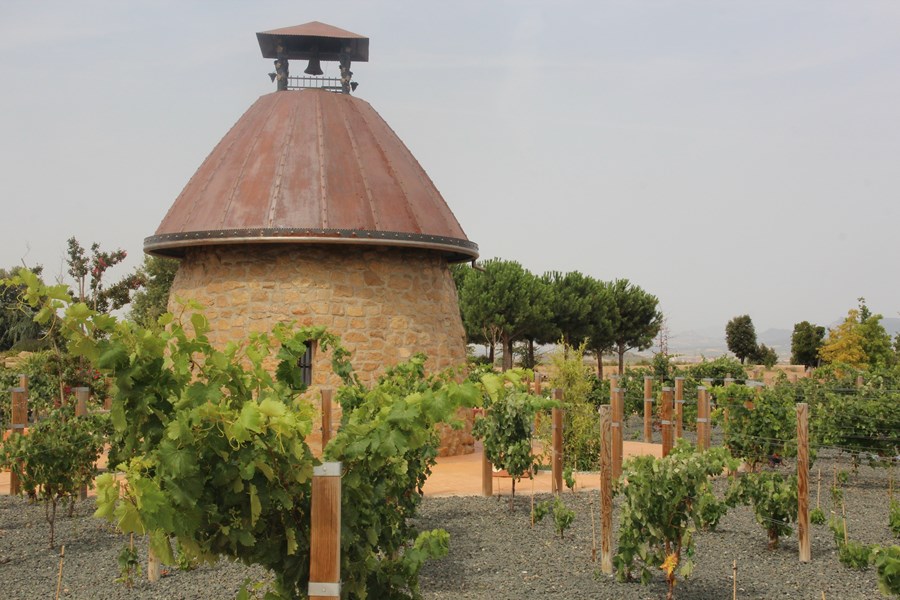 <p>Forskning og utvikling har alltid v&aelig;rt viktig for Vi&ntilde;a Ijalba. Helt fra starten har de deltatt i ulike prosjekter for utvikling av stedegne druetyper som for eksempel tempranillo blanco og graciano - druetyper som har v&aelig;rt viktige for karakteren i vin fra Rioja, men som praktisk talt har blitt gitt opp kommersielt. Med bl.a. Ijalbas innsats har det biologiske mangfoldet i Rioja blitt styrket de siste ti&aring;rene. Vi&ntilde;a Ijalba er den f&oslash;rste produsenten som lager endrueviner av tempranillo blanco, maturana blanco, graciano og maturana tinta.</p>
<p>Vinmarkene dyrkes &oslash;kologisk med lave avlinger og med et mangfold av druetyper.</p>