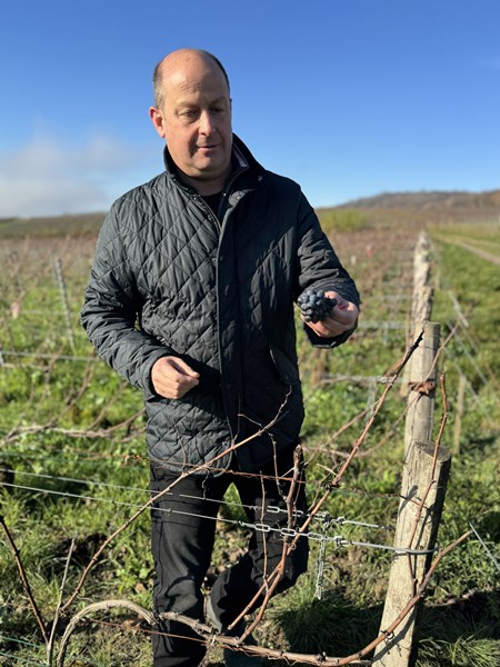 <p>Eiendommen best&aring;r i dag av 4,6 hektar fordelt p&aring; 17 parseller, hovedsakelig i grand cru-kommunen Bouzy, men ogs&aring; med andeler i grand cru-ene Ambonnay og Louvois, samt premier cru-en Tauxi&egrave;res. Forel&oslash;pig beholdes bare rundt 20 prosent av druene til egen produksjon mens resten selges til n&eacute;gocianter. Plantene har en gjennomsnittsalder p&aring; rundt 40 &aring;r og kultiveres med &oslash;kologiske og biodynamiske virkemidler. Det er plantet dekkvekster mellom radene og det pl&oslash;yes mellom radene. For Georges er det viktig &aring; jobbe med modne druer og han er derfor blant de siste dyrkerne i omr&aring;det til &aring; h&oslash;ste druene. Da inneholder de kanskje noe lavere syrlighet, men desto mer konsentrasjon, dybde og salinitet. N&aring;r vinen kan lages uten <em>dosage</em>, f&oslash;ler Georges at han har valgt korrekt innh&oslash;stningstidspunkt.</p>
<p>&nbsp;</p>