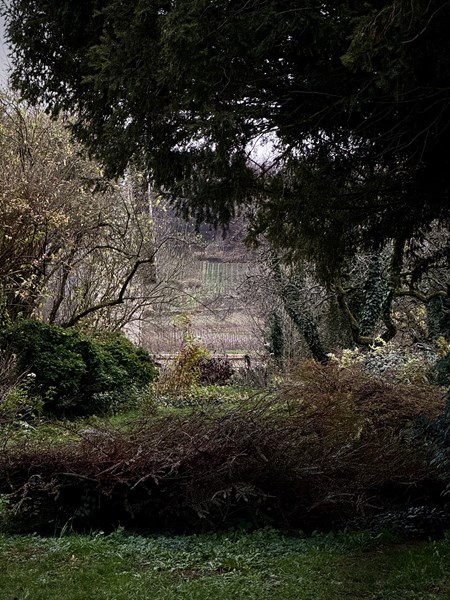 <p>Familien har v&aelig;rt involvert i vinproduksjon siden 1808 og har produsert egen vin siden 1955. I dag drives eiendommen av den femte generasjonen, Isabelle og Benoist Perseval, sammen med deres s&oslash;nn Henry, som etter &aring; ha studert i Alsace begynte ved eiendommen i 2016.&nbsp;</p>