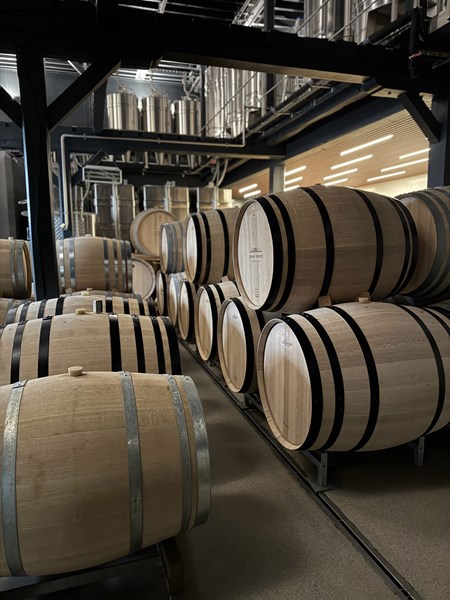 <p>Eiendommen best&aring;r av totalt 12 hektar med vinmark fordelt p&aring; hele 120 parseller i Le Mesnil-sur-Oger, Oger, Avize, Vertus og Voipreux i C&ocirc;te des Blancs, samt en parsell med meunier i Morangis i Coteaux Sud d'Epernay. Vinmarkene har v&aelig;rt uten ugressmidler siden starten av 2000. Etter Paul sin overtakelse har de ogs&aring; blitt kultivert etter &oslash;kologiske prinsipper, og fra 2023 er de sertifisert b&aring;de &oslash;kologisk og biodynamisk. Dekkvekster og tr&aelig;r mellom parsellene bidrar til &oslash;kt biodiversitet, og det pl&oslash;yes mellom radene, enten maskinelt eller med hest, avhengig av tykkelsen p&aring; toppjorden, for &aring; ventilere jorden og tvinge r&oslash;ttene dypere ned. Denne delen av Champagne er relativt hardt rammet av <em>court-nou&eacute;</em>, et plantevirus som gir sm&aring; avlinger med konsentrerte druer. I Girard sine parseller som er p&aring;virket av viruset, kuttes ikke de apikale skuddene om sommeren, noe som bidrar til &aring; bevare mer syrlighet i druene.</p>
<p>Paul Girard er tiln&aelig;rmet den eneste dyrkeren av &oslash;kologiske eller biodynamiske druer i Le Mesnil, og det gj&oslash;r han til en popul&aelig;r kilde av druer for andre likesinnede produsenter. Forel&oslash;pig selges halvparten av druene videre, mens resten beholdes til egen produksjon.</p>