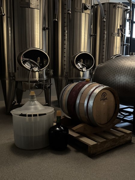 <p>Eiendommen best&aring;r av totalt 12 hektar med vinmark fordelt p&aring; hele 120 parseller i Le Mesnil-sur-Oger, Oger, Avize, Vertus og Voipreux i C&ocirc;te des Blancs, samt en parsell med meunier i Morangis i Coteaux Sud d'Epernay. Vinmarkene har v&aelig;rt uten ugressmidler siden starten av 2000. Etter Paul sin overtakelse har de ogs&aring; blitt kultivert etter &oslash;kologiske prinsipper, og fra 2023 er de sertifisert b&aring;de &oslash;kologisk og biodynamisk. Dekkvekster og tr&aelig;r mellom parsellene bidrar til &oslash;kt biodiversitet, og det pl&oslash;yes mellom radene, enten maskinelt eller med hest, avhengig av tykkelsen p&aring; toppjorden, for &aring; ventilere jorden og tvinge r&oslash;ttene dypere ned. Denne delen av Champagne er relativt hardt rammet av <em>court-nou&eacute;</em>, et plantevirus som gir sm&aring; avlinger med konsentrerte druer. I Girard sine parseller som er p&aring;virket av viruset, kuttes ikke de apikale skuddene om sommeren, noe som bidrar til &aring; bevare mer syrlighet i druene.</p>
<p>Paul Girard er tiln&aelig;rmet den eneste dyrkeren av &oslash;kologiske eller biodynamiske druer i Le Mesnil, og det gj&oslash;r han til en popul&aelig;r kilde av druer for andre likesinnede produsenter. Forel&oslash;pig selges halvparten av druene videre, mens resten beholdes til egen produksjon.</p>