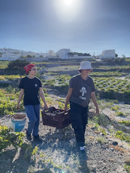 Hatzidakis ble grunnlagt i 1997 av Haridimos Hatzidakis og Konstantina Chryssou. Begge arbeidet ved kooperativet Boutary, der Haridimos var vinmaker og Konstantina var direktør for vineriets hotell. Alt begynte da Konstantina viste Haridimos noen vinmarker som tilhørte hennes familie.
Ved vinmarkene fant de en grotte der de etter mye arbeid og lidenskap klarte å bygge sitt vineri, til tross for begrensede midler.
I 2016 ble det bygget et nytt vineri i nærheten av vinmarkene og byen Pyrgos.
Siden 2017, etter det sjokkerende tapet av pappa Haridimos, har datteren Stella sammen med mamma Konstantina tatt over stafettpinnen sammen med de personene som jobbet tett med ham på vinerie