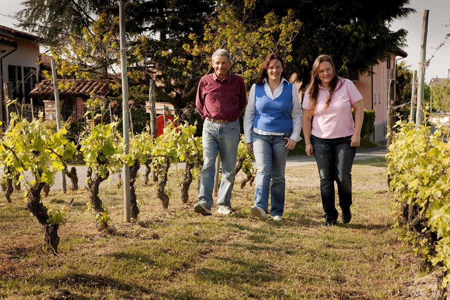 <p>Azienda Agricola Cigliuti man&oslash;vrerer virtuost og uten anstrengelser mellom tradisjonell og moderne vinifikasjon. Alle viner spontanfermenteres ved hjelp av villgj&aelig;r. Barbaresco Serraboella gj&aelig;res p&aring; grunnlag av 100 % avstilkede druer i temperaturkontrollerte st&aring;ltanker ved ca. 28 grader. Maserasjonstiden er 12-14 dager. Videre lagring finner sted p&aring; store og sm&aring; eikefat (h&oslash;yst 40 %, 1-3 &aring;r gamle etter en vurdering av &aring;rgangens karakter) i ca. 17-18 mnd. Vinen blir deretter lagret ytterligere p&aring; flaske i ca 7 mnd f&oslash;r salg.</p>