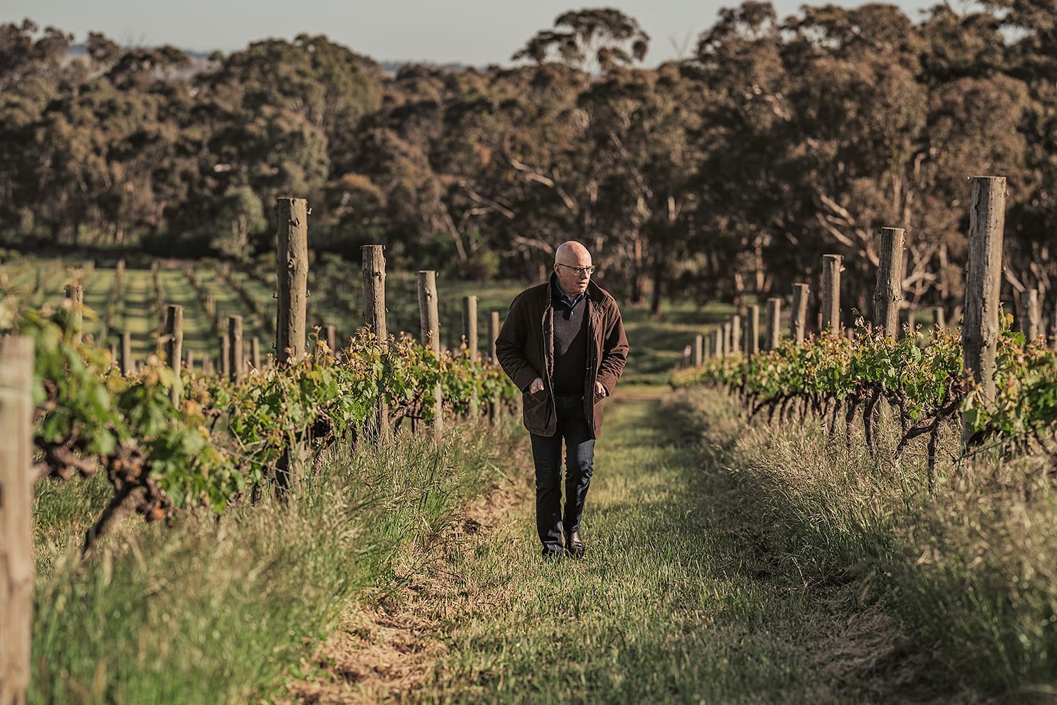 Grosset Wines er en liten familiedrevet virksomhet som ble etablert i 1981. Deres urokkelige visjon er å lage viner som er rene uttrykk for druetype og sted, og eiendommen består av fire vinmarker i høyfjellsområdet i Clare Valley, som alle er sertifisert økologisk (A-GradeI og biodynamisk (ACO). Hver vinmark er nøye utvalgt på grunn av sitt potensial til å produsere viner av topp kvalitet, og plantet av Grosset. Alle vinmarkene beskjæres manuelt, og druene plukkes for hånd. Vinifikasjonen er skånsom og ukomplisert, og totalproduksjonen er liten.