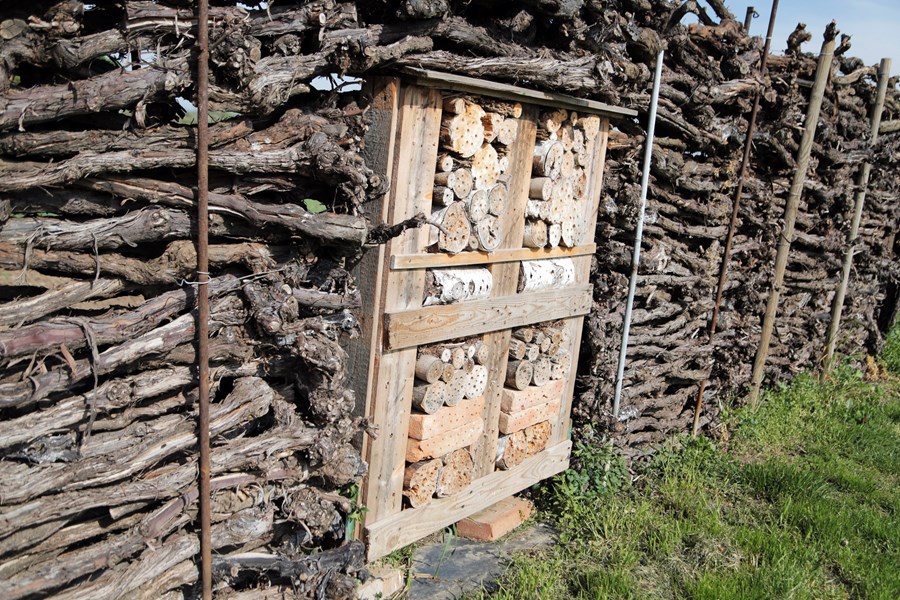 <p>Vinmarkene ligger langs &aring;sene i Velm-G&ouml;tzendorf, hvor de nordvendte har mye l&oslash;ss og sandstein i jordsmonnet, mens de s&oslash;rvendte best&aring;r av leirjord.</p>
<p><em>Haidthal</em> er en s&oslash;rvendt skr&aring;ning, hvor&nbsp;jordsmonnet hovedsakelig best&aring;r av sandstein. Her har Zillinger hele fire hektar med 25 &aring;r gamle riesling-stokker.</p>
<p><em>Steinthal</em> er oppkalt etter et sandsteinbrudd, men navnet finnes ikke p&aring; kartet lenger etter at det ble sl&aring;tt sammen med andre vinmarker p&aring; Kellerberg-siden. Her dyrker Zillinger sankt laurent og gr&uuml;ner veltliner.</p>
<p><em>Lissen</em> er nord&oslash;stvendt, og jordsmonnet best&aring;r av kalkholdig leire og sand. Her er fem hektar er plantet med aromatiske druetyper.</p>
<p><em>Hohes Eck (Hoheneck)</em> best&aring;r av r&oslash;daktig jernholdig leirjord, sand og knyttnevestore kalkstein. Fem hektar av den eldre delen er plantet med gr&uuml;ner veltliner, pinot blanc og welschriesling, mens det dyrkes gr&uuml;ner veltliner, muscaris og gelber muskateller i den yngre delen. Som f&oslash;lge av den nordlige eksponeringen har Hoheneck en s&aelig;rlig lovende fremtid, ettersom det her er kj&oslash;ligere og innh&oslash;stingen starter &eacute;n til to uker senere enn i noen av de andre vinmarkene. Druene oppn&aring;r samme modning, men alkoholinnholdet i de resulterende vinene er lavere.</p>
<p>I <em>Haiden</em> best&aring;r jordsmonnet av sandholdig grusjord. Dette varme omr&aring;det n&aelig;r Ollersdorf er arnested for Zillingers r&oslash;de viner. Her s&oslash;rger den varme luftstr&oslash;mmen som stiger opp fra Marchfeld-sletten i s&oslash;r for at druene oppn&aring;r full modning.</p>
<p>Klimaet i den &oslash;stlige delen av Weinviertel er preget av sv&aelig;rt varme somre og ekstremt kalde vintre med temperaturer ned mot 20 minusgrader. Jorda varmes imidlertid opp raskt om v&aring;ren, noe som resulterer i at blomstringen skjer en uke tidligere her enn i de omkringliggende vinmarksomr&aring;dene.</p>