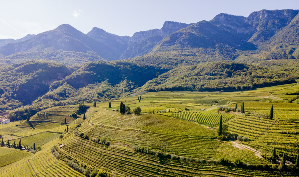 Alois Lageder har gjennom over 150 år med vinproduksjon alltid vært fokusert på å levere vin av høyeste kvalitet. Vinhuset fokuserer på bærekraftighet, og mye av produksjonen gjøres i dag etter biodynamiske prinsipper.