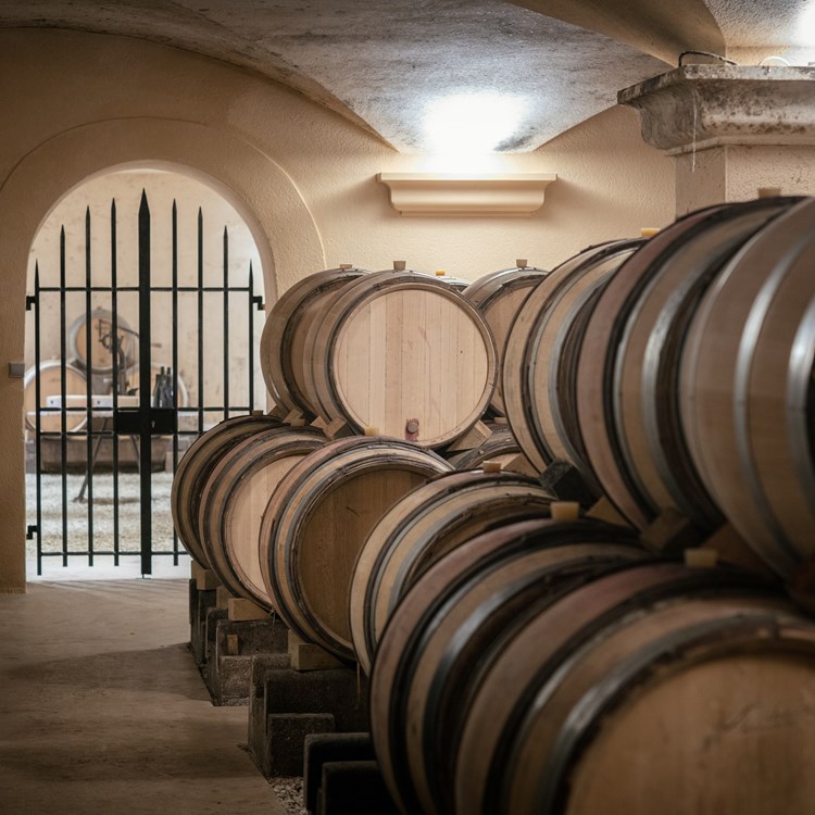 LEROUX- cellar and vinotheque.jpg