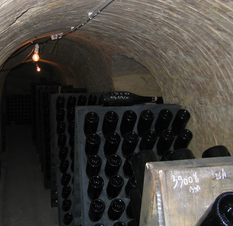 Lilbert-Cellar-e1466712774987.jpg