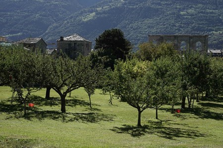 <p>Maley Cidre holder til h&oslash;yt oppe p&aring; den italienske siden av Mont Blanc, i Val d'Aosta. De lager cider fra lokale eple- og p&aelig;resorter, fra over 80 &aring;r gamle tr&aelig;r p&aring; 1000 meter over havet, med &oslash;kologiske metoder. Annengangs fermentering foreg&aring;r i flasken etter tradisjonell metode, og sideren ligger p&aring; bunnfallet i 6 m&aring;neder.</p>