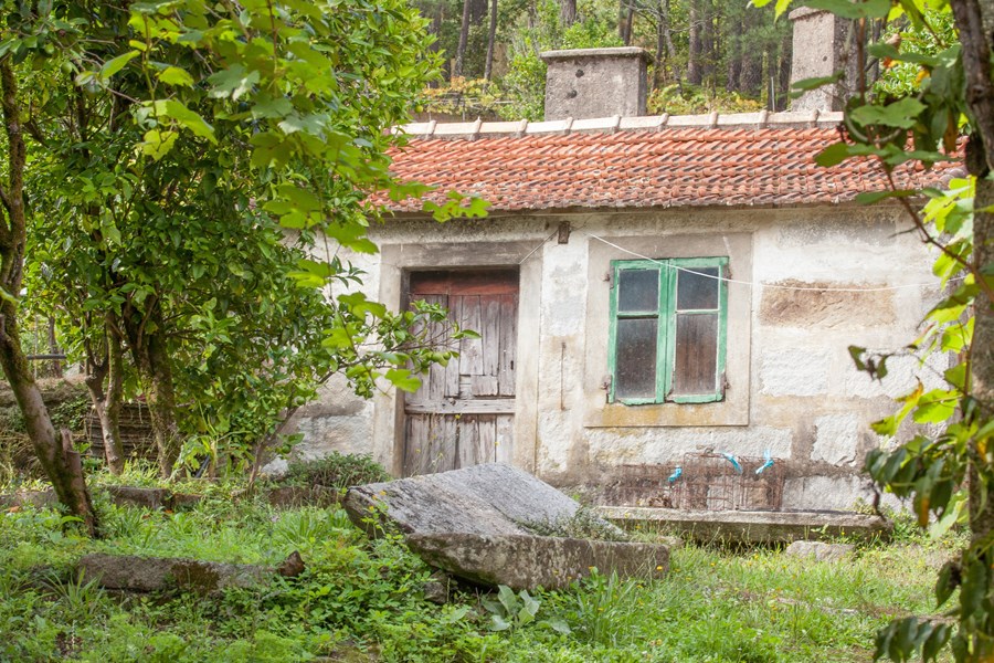 <p>M&eacute;ndez-familien plantet Albari&ntilde;o i landsbyen Mea&ntilde;o allerede i 1912, men familien har ogs&aring; drevet med skjelloppdrett og farfaren til Rodri drev et jernverk som ogs&aring; ga navnet til vineriet.</p>
<p>Mange av de eldste vinstokkene gir nydelig frukt ogs&aring; den i dag og bidrar sterkt til kvaliten i vinene. Rodri leier ogs&aring; en av R&iacute;as Baixas eldste vinmarker Finca Genoveva av den over 90 &aring;r gamle venninnen Lola. Her er 80 prosent av vinmarken p&aring; alder med Lola og resten av vinstokkene opp mot 200 &aring;r gamle gr&oslash;nne og bl&aring; lokale druetyper oppbundet i tradisjonell pergola. Vinmarken har med andre ord st&aring;tt st&oslash;tt gjennom phylloxera, to verdenskriger, borgerkrig og diktatur, samt industrialiseringen p&aring; 70-og 80-tallet.</p>
<p>Industrialiseringen innebar at &laquo;alle&raquo; rykket opp de gamle stedegne druetypene og erstattet dem med nye albari&ntilde;okloner som ga h&oslash;ye avlinger og bedre &oslash;konomi. H&oslash;ye avlinger kombinert med utstrakt bruk av aromatiske gj&aelig;rtyper for &aring; sjarmere et internasjonalt marked, gjorde vinene uimotst&aring;elig rimelige og aromatiske, men verden ble ikke kjent med albari&ntilde;o slik den egentlig kan v&aelig;re. Familien M&eacute;ndez gikk heldigvis motsatt vei. De plantet mer stedegne bl&aring; druer og bevarte de gamle albari&ntilde;o-vinstokkene. I Finca Genoveva fortsatte ogs&aring; Lola som familien alltid hadde gjort med &aring; pleie de gamle pergola-vinstokkene og lage vin for eget bruk og til de lokale restaurantene.</p>
<p>I 2005 begynte Rodri &aring; jobbe med Ra&uacute;l P&eacute;rez fra Bierzo, en av Spanias mest kjente &oslash;nologer. En skulle tro at Ra&uacute;l er &aring;rsaken til at Rodri ogs&aring; satser p&aring; r&oslash;dvin i dette hvitvinsomr&aring;det, men Ra&uacute;l var faktisk den som overtalte Rodri til ikke &aring; rykke opp Albari&ntilde;o-plantene, som han egentlig hadde planlagt.</p>
<p>Ra&uacute;l s&aring; potensialet for Rodri til &aring; lage jordsmonnsvin som nikker mer mot burgund enn til det de fleste forbinder med albari&ntilde;o fra R&iacute;as Baixas. Og da R&aacute;ul lanserte den spontanfermenterte og fatlagrede Sketch 2003 startet han en ny &aelig;ra for jordsmonnsvin av albari&ntilde;o og &aring;pnet d&oslash;rene for Rodri og andre kvalitetsprodusenter i omr&aring;det.</p>
<p>Ra&uacute;l l&aelig;rte ogs&aring; Rodri &aring; jobbe skikkelig med r&oslash;dvinene som bare blir bedre og bedre for hvert &aring;r. De r&oslash;de st&aring;r Rodris hjerte n&aelig;r, vinene er transparente med h&oslash;y friskhet, sjelden mer enn 12,5% alkohol og med tydelig jordsmonnspreg. De vil nok ikke betegnes som perfekte, men er unike og genuine uttrykk for sine respektive atlantiske voksesteder og druetyper fra gamle og velholdte vinmarker.</p>
<p>Totalt r&aring;der Rodri over skarve 8,5 ha vinmarker fra flere ulike landsbyer kun i Saln&eacute;s-sonen. Den totale produksjonen for begge prosjektene er p&aring; rundt 40-50.000 flasker.</p>