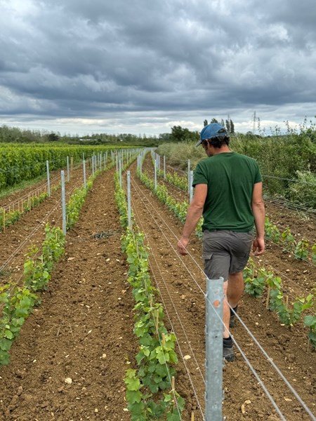 <p>Benoit Moreau jobbet fra 1990 i vinmarkene p&aring; familieeiendommen Domaine Bernard Moreau &amp; Fils sammen med hans far, Bernard, og hans bror Alex, f&oslash;r han valgte &aring; skille ut sin del av vinmarkene og starte sin egen eiendom. Hans f&oslash;rste &aring;rgang under egen etikett, 2020, er utelukkende laget av innkj&oslash;pte druer fra &oslash;kologiske og biodynamiske vinmarker i og rundt Chassagne-Montrachet, for det var ikke f&oslash;r i november dette &aring;ret at hans del av familievinmarkene, totalt 4,2 hektar, kom under hans eie. Den f&oslash;rste &aring;rgangen produsert fra egne vinmarker er dermed 2021.</p>