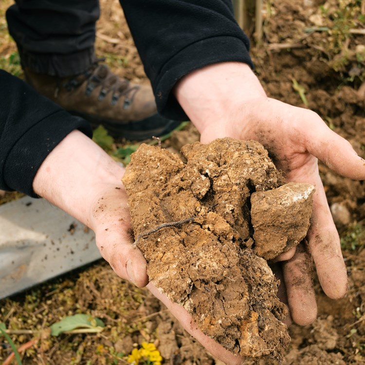 Moritz_Kissinger_NB_DSCF5137 Kopie.jpg