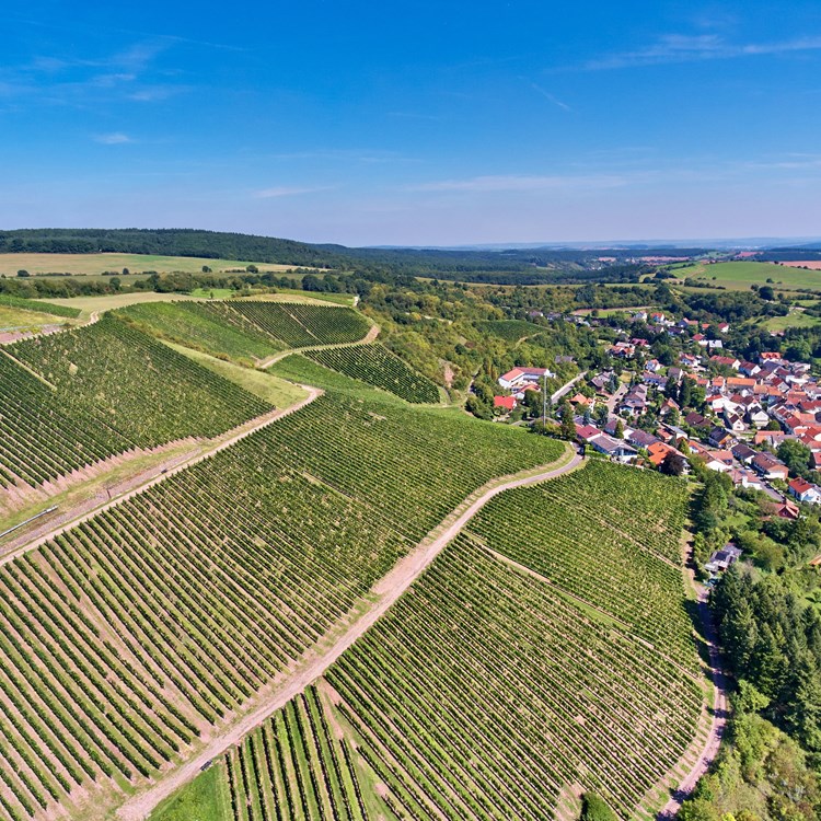 NAHE_FELSENECK_Bockenau_07_byVDP.jpg