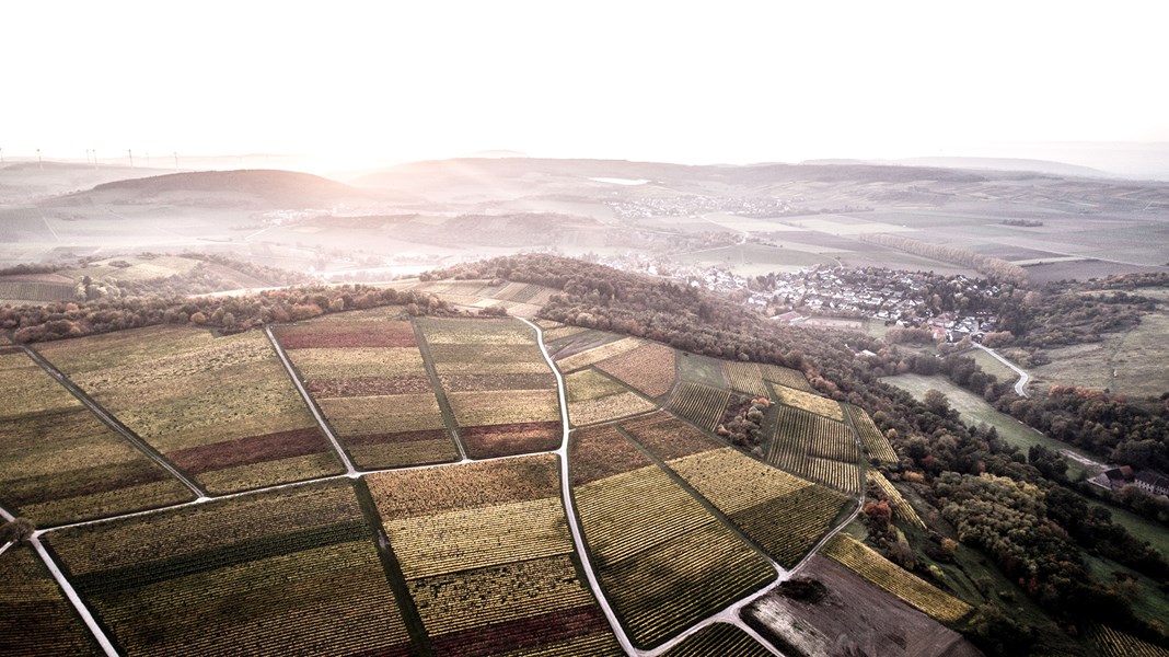 <p>Daniel Wagner har oppgradert de gamle toppvinmarkene H&ouml;llberg og Heerkretz, og har utelukkende konsentrert seg om &aring; produsere vin av topp kvalitet fra klassiske druesorter: Riesling, Silvaner og Pinot Blanc. Vinmarkene forvaltes &oslash;kologisk, uten bruk av konvensjonell gj&oslash;dsling eller plantevernmidler. P&aring; eiendommen legges det vekt p&aring; at god vin skapes i vinmarken. Det er stort fokus p&aring; &aring; holde avlingene nede, og manuell beskj&aelig;ring, balansert l&oslash;vvekst og selektiv h&aring;ndplukking om h&oslash;sten bidrar i s&aring; m&aring;te. Det er en arbeidskrevende m&aring;te &aring; drive vinmarkene p&aring;, men resultatene viser seg i kvaliteten p&aring; vinene. Dette er jevnt over ikke bare gode viner, men eksepsjonelt gode viner.</p>
<p>Vinstilen preges av eleganse, renhet og friskhet p&aring; den ene siden - kompleksitet, konsentrasjon og mineralitet p&aring; den andre siden. Wagner-Stempel ble tatt inn i varmen i VDP i 2004, og med klassifikasjonen fire drueklaser i Gault Millau viser det at kvaliteten n&aring; er h&oslash;yere enn noen sinne.</p>