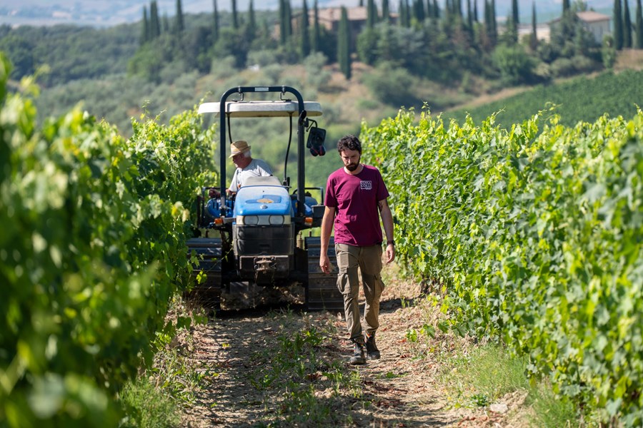 Fossacolle-eiendommen ligger sør i Montalcino og dekker fire hektar med vingårder, hvorav 2,5 er bestemt til Brunello. Slik er kvaliteten på vingårdene at Adriano Bambagioni har vært i stand til å produsere viner som har vunnet en rekke utmerkelser. Adriano lærte sitt fag i løpet av de 10 årene han jobbet med Giacomo Tachis, ønologen som var ansvarlig for å produsere de første supertoskanske vinene.
Adrianos erfaring er tydelig i de smidige tanninene til Brunello, samt den utmerkede strukturen til Rosso. Vinproduksjonen hans blander tradisjon med en moderne tilnærming, med bruk av både franske eikebarriquer og store slaviske eikefat for å lagre Brunello. Godset har vært eid av Marchetti-familien, Adrianos svigerfamilie, siden 1700, og Adrianos sønn, Stefano, jobber nå sammen med ham
