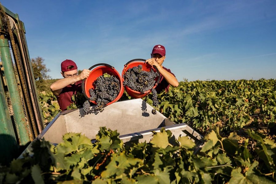 Vinhuset befinner seg på sørøstsiden av Montalcino-åsen, 450 meter over havet, og omfatter 22 hektar, hvorav 16 er dedikert til vinmarker. Mikroklimaet er tørt med mye vind, og det er store temperaturvariasjoner mellom årstider så vel som dag og natt.