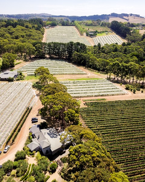 Even Keel er viner laget av Sam Coverdale i samarbeid med vinbønder og nøye utvalgte vinstokker i regioner langs sørøstkysten av Australia, inkludert Tumbarumba i New South Wales. Vinene produseres ved Even Keels hjem på Mornington Peninsula. Polperro, den førsteklasses enkeltvinmarks-etiketten til Even Keel, dyrkes og tas vare på av Sam Coverdale, Brent Osbourne (assisterende vinmaker og vinmarksforvalter), og deres team på Mornington Peninsula, ved hjelp av en blanding av økologiske og biodynamiske prinsipper.
