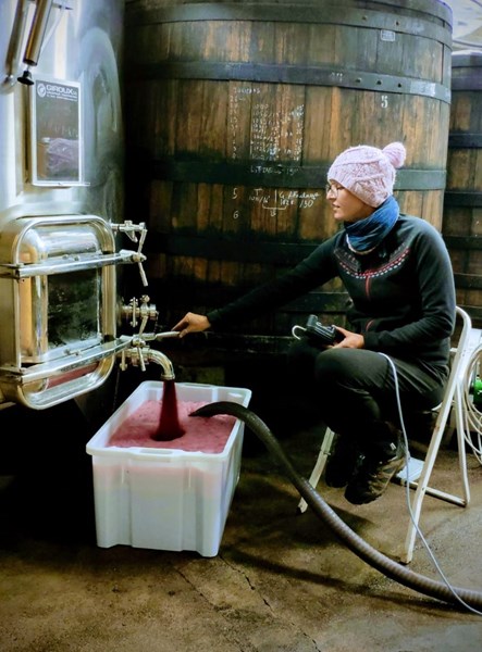 Kun de beste druene blir plukket, utelukkende for hånd. Anne-Sophie foretrekker å bruke sementtanker og større nøytrale eikefat fremfor ny eik, noe som fremhever gamay-druens delikate karakter og gir vinene god balanse, flott frukt og finesse. Halvparten av vinene modnes med bunnfallet på fat (3-7 år gamle franske eikefat), og det gjøres ingen filtrering før vinen tappes på flaske.