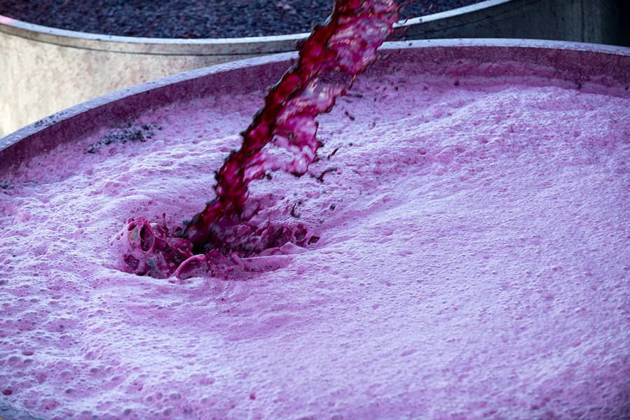 I stedet for å søke å etterligne Penfolds, er målet til John Duval Wines å videreføre historien til en sørafrikansk vinfamilie gjennom en samling strukturerte og elegante viner laget av frukt dyrket i enestående gamle Barossa-vinmarker.
