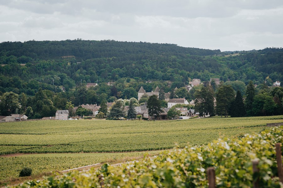 <p>Savigny-l&egrave;s-Beaune regnes tradisjonelt for &aring; v&aelig;re en mindre kommune i C&ocirc;te de Beaune. Man kan lure p&aring; hva Jean-Marc Pavelot kunne ha f&aring;tt til med utgangspunkt i druemateriale fra vinmarker i mer fasjonable kommuner i C&ocirc;te de Beaune som Volnay, Pommard og Corton. En slik tankegang er likevel helt urimelig n&aring;r vi ser hva Pavelot makter &aring; realisere av kvalitet, karakter og egenart fra sine parseller i Savigny-l&egrave;s-Beaune.</p>