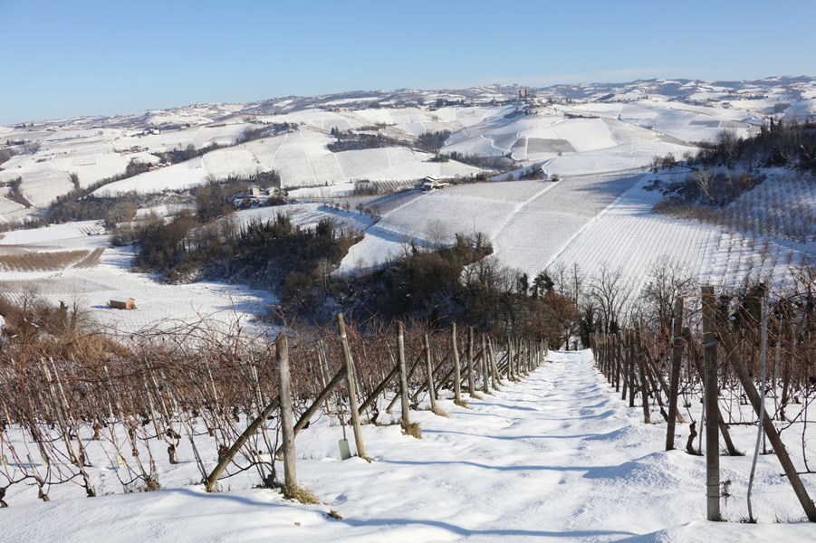 <p>Fratelli Brovia holder til i kommunen Castiglione Falletto, og produserer vin fra i underkant av 20 ha vinmark med geografisk plassering i henholdsvis Barolo-kommunene Castiglione Falletto og Serralunga. Rocche, Villero og Garbl&egrave;t Sue ligger i Castiglione Falletto mens Ca'Mia er lokalisert i Serralunga. Den totale produksjonen ligger p&aring; ca 60 000 flasker i &aring;ret fordelt p&aring; 55 % nebbiolo fra Barolo-sonen, 25 % dolcetto, 10 % barbera og 10 % nebbiolo fra Langhe-sonen samt mindre deler freisa og arneis. Hele portef&oslash;ljen hos Brovia er produsert i typisk tradisjonell stil.</p>