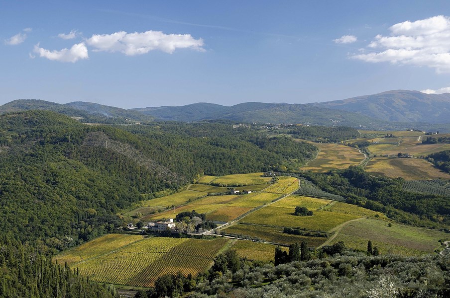 <p>Mange anser Fattoria Selvapiana for &aring; v&aelig;re kommunens beste og mest s&aelig;rpregede produsent. Eiendommen har v&aelig;rt i hendene p&aring; familien til den n&aring;v&aelig;rende eieren Francesco Giuntini Antinori siden 1827. I dag drives eiendommen av stes&oslash;nnen Federico Giuntini Masseti og s&oslash;steren Silvia i n&aelig;rt samarbeid med den velkjente toscanske &oslash;nologen Franco Bernabei, som kom inn i bildet og startet moderniseringen av eiendommen og vinmarkene p&aring; slutten av 1970-tallet. Bernabei er ogs&aring; involvert i andre kjente Chianti-eiendommer som Fontodi og Felsina-Berardenga, begge i classiscosonen. Francesco Giuntini Antinori er litt av en karakter, eksentrisk, kultivert, vennlig og meget interessant. F&aring; har gjort s&aring; mye for R&ugrave;fina i moderne tid som Francesco Giuntini Antinori.</p>
<p>I dag omfatter Fattoria Selvapiana i alt 240 hektar, der 45 hektar er avsatt til vinproduksjon og 31 hektar er dedikert ene og alene til produksjon av olivenolje. Vinmarkene p&aring; eiendommen dyrkes i dag etter &oslash;kologiske prinsipper.</p>