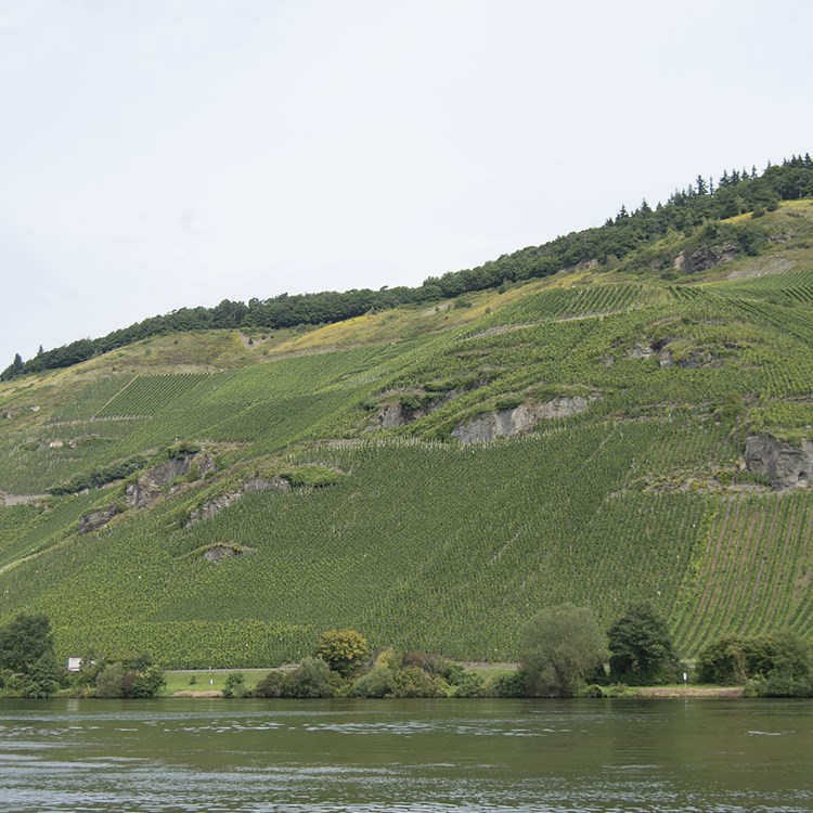 Sonnenuhr Panorama mit Kaakert und Rotlay Parzellen.jpg