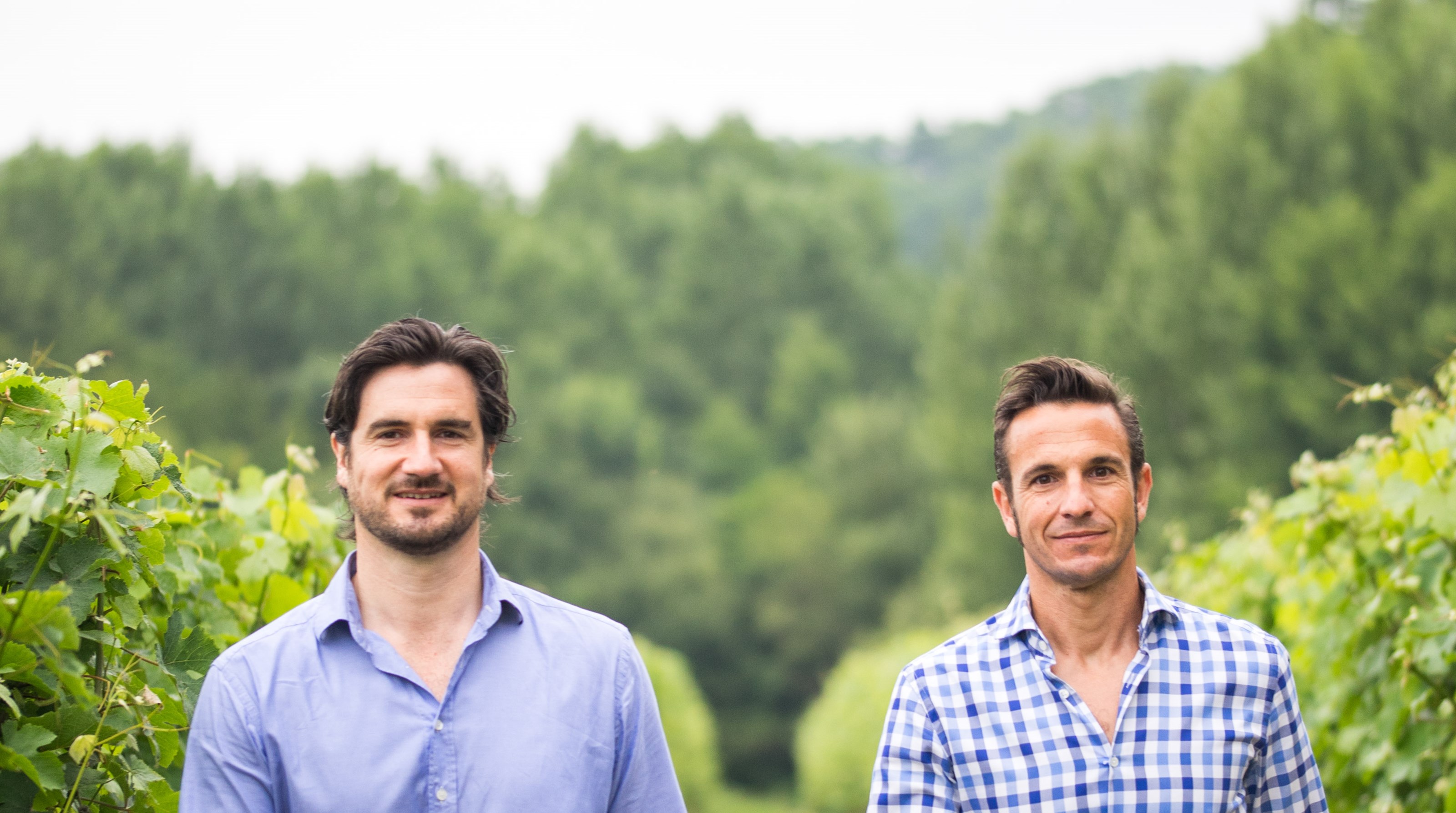 Tariquet Armin et Rémy vignes HD.jpg