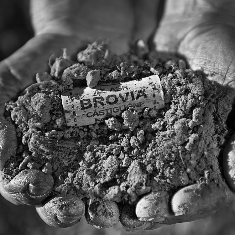 terra tagliata per Vinitaly (2) - foto Corrado Morando.jpg