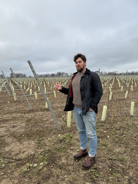 <p>I hjertet av Langham-eiendommen ligger den praktfulle verneverdige herreg&aring;rden Bingham's Melcombe, som stort sett har v&aelig;rt uendret siden Edward VIs regjeringstid. Herreg&aring;rden ble kj&oslash;pt av John Langham i 1980, og ble hovedsetet for Langham Agricultural Enterprise, som i dag omfatter over 1000 hektar med landomr&aring;der.</p>
<p>Langhams f&oslash;rste vinmark ble opprinnelig etablert som et hobbyprosjekt her p&aring; Bingham's Melcombe. I 2009 kom imidlertid Johns s&oslash;nn, Justin Langham, p&aring; banen og bestemte seg for &aring; videreutvikle sin fars id&eacute; til en kommersiell satsing. Han plantet dermed 30 nye hektar med vinstokker p&aring; eiendommen Crawthorne Farm, noen mil fra Bingham's Melcombe.</p>