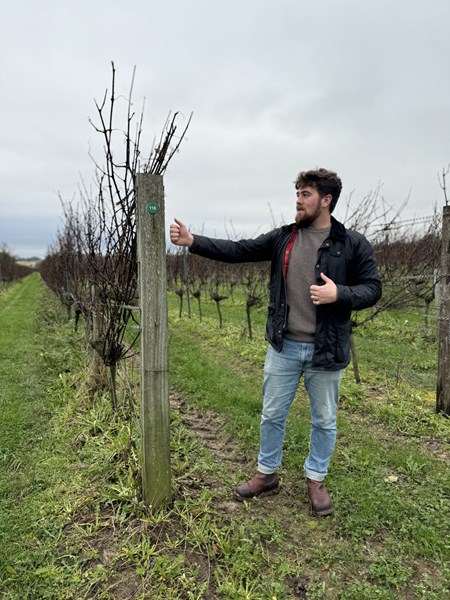 <p>Vinkjelleren ligger enn s&aring; lenge i en sjarmerende gammel l&aring;ve bare noen meter fra vinmarkene, og druene som blir s&aring; godt ivaretatt gjennom hele vekstsesongen kan dermed plukkes og vinifiseres umiddelbart uten noen transportetapper som kan forringe kvaliteten p&aring; druene. Et nytt vineri er riktignok under konstruksjon. Langham bruker b&aring;de temperaturkontrollerte rustfrie st&aring;ltanker, betongtanker, og brukte franske eikefat fra Champagne og Bergerac. St&aring;ltankene er slanke og h&oslash;ye for &aring; fasilitere for best mulig sedimentering av bunnfallet. Alle basevinene gjennomg&aring;r den malolaktiske gj&aelig;ringen. Ingen av vinene klares eller filtreres. Flaskene lagres p&aring; bunnfallet i minimum 14 m&aring;neder og ligger p&aring; 4-5-5 bar trykk, noe som gir en vin&oslash;s og delikat stil.</p>