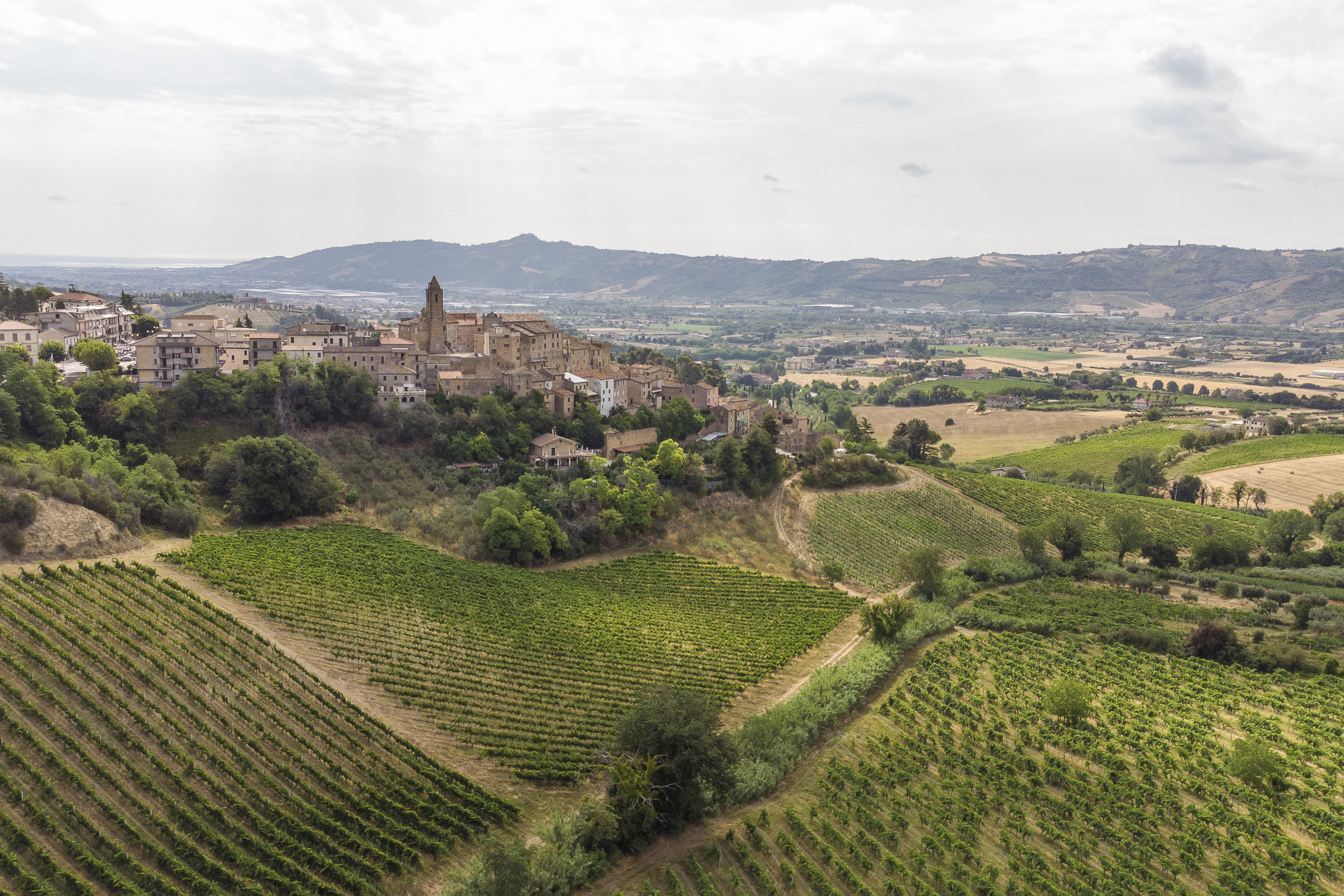 Town of Spinetoli above Saladinis  Vineyards.jpg