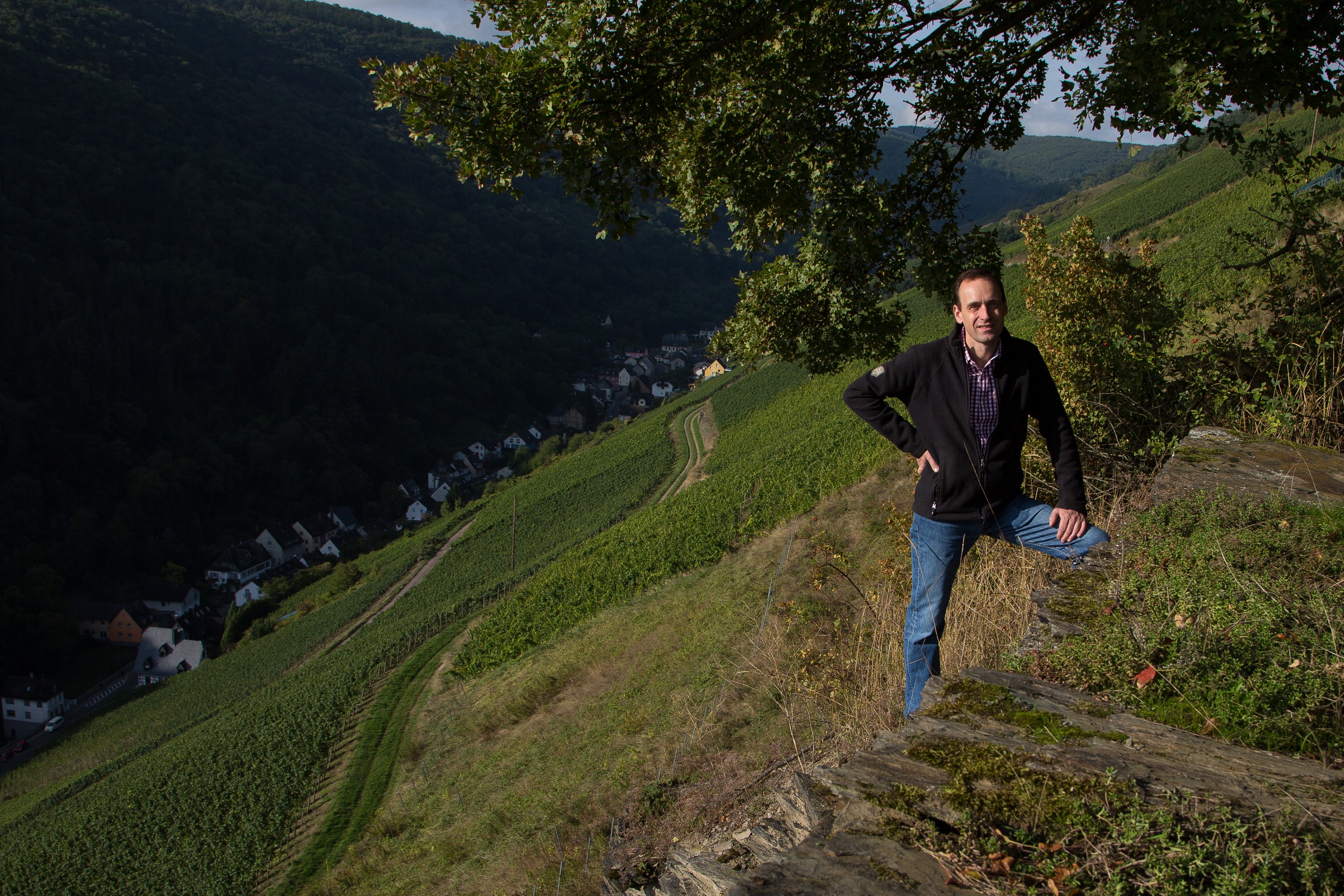 <p>Jochen og familien jobber med en rekke spennende vinmarker i Mittelrhein, og det letteste er &aring; dele de opp per vinmark;</p>
<p>&nbsp;</p>
<p>Steeger St. Jost - dette er vinmarken som starter i hagen til familien Ratzenberger, og g&aring;r rett opp de bratte &aring;ssidene. Den stiger 80 h&oslash;ydemeter rett opp, og har en sydvendt eksponering. Jordsmonnet er dominert av kalkskifer og litt sand. Det er vanskelige forhold med en del erosjon. Og etter 2003 &aring;rgangen fikk de lov &aring; installere vanningssystem her, som brukes hvis det blir alt for varm og t&oslash;rt.</p>
<p>&nbsp;</p>
<p>Wolfsh&ouml;hle - 60-65 grader helning med stupbratte sydvendte vinmarker er arnestedet til den rikeste vinen til Ratzenberger, den er fortsatt floral og line&aelig;r, men med et m&oslash;rkere og mer variert jordsmonn, s&aring; blir vinene herifra litt kraftigere og mer lagrinskrevende. Det er ogs&aring; skifer og leire her, men ogs&aring; parseller med bl&aring; og m&oslash;rk skifer.&nbsp;</p>
<p>&nbsp;</p>
<p>Schloss F&uuml;rstenberg - det nyeste tilskuddet, en 10 hektar stor vinmark som familien har re-etablert med terrasser som i gamle dager. Det er samtidig etablert et stort og langsiktig prosjekt her, sammen med Universitet i Geisenheim, som skal se p&aring; biodiversitet, kloner m.m. vinmarken er kj&oslash;ligere en Steeger St. Jost og Wolfsh&ouml;hle, og vinene er mer urtete og livlige herifra. Med tid vil vi kunne se mer dybde og intensitet, n&aring;r Jochen og familien har f&aring;tt arbeidet vinmarkene i flere &aring;r.&nbsp;&nbsp;</p>