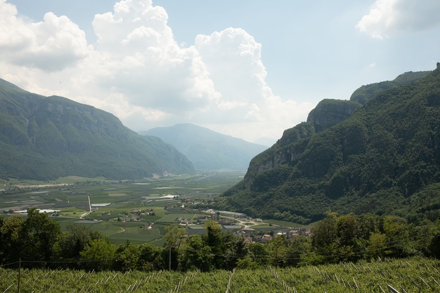 <p>Det er en godt innarbeidet myte at det bare er champagne som har en historie. Det er en god (fransk) overdrivelse, for det har v&aelig;rt produsert cava i Spania i kommersiell m&aring;lestokk siden slutten av 1880-&aring;rene, og i Trentino har Ferrari likeledes produsert musserende vin helt siden 1902. Ferrari er med andre ord vin med historie s&aring; vel som vin med adresse.</p>
<p>I 1952 solgte Giulio Ferrari firmaet til en kjent vinhandler i Trento, Bruno Lunelli. P&aring; det tidspunktet var produksjonsvolumet meget begrenset, s&aring; lite som 9000 flasker ble produsert &aring;rlig, og s&aring; godt som hver eneste flaske ble konsumert i Italia.</p>
<p>I 1969 overlot Bruno Lunelli firmaet til sine tre s&oslash;nner. Gino og Franco fikk ansvaret for strategi og markedsutvikling, mens Mauro fikk det tekniske ansvaret for produksjonen. Med utgangspunkt i de to opprinnelige vintypene, Ferrari Brut og Ferrari Maximum Sec, en t&oslash;rr og en s&oslash;tlig utgave, utviklet Mauro portef&oslash;ljen b&aring;de n&aring;r det gjelder sortimentsbredde, stil og kvalitet, og ikke minst samarbeidet br&oslash;drene med hensyn til internasjonal tilpasning til eksisterende og kommende smaks- og markedstrender. Totalt sett har disse markedstilpasningene v&aelig;rt meget vellykkede, og Ferrari er i dag et lokomotiv i regionen og ellers i Italia der det produseres musserende vin.</p>
<p>I 2023 kom nyheten om at Cyril Brun, en av de mest respekterte kjellermesterne i Champagne, flytter fra sin rolle som Chef de Cave hos Charles Heidsieck til Ferrari og de italienske alper. Cyril er allerede i gang med finjusteringer av produksjonen, som &aring; &oslash;ke andelen reservevin, anvende skreddersydd <em>liqueur de dosage</em> til hver enkelt cuv&eacute;e, og &aring; bytte korker til Mytik Diam for &aring; ha mer kontroll over oksygeninnslippet i flaskene.</p>