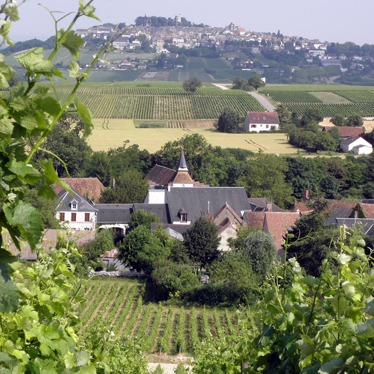 Verdigny Sancerre.jpg