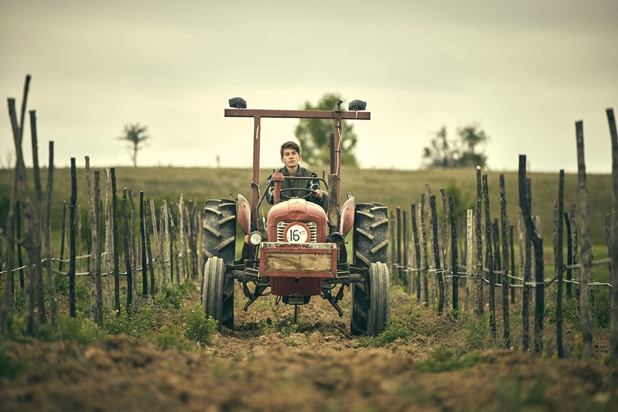 Karanikas' historie begynner med drømmen til to individer og deres søken etter god vin. Domaine Karanika ble grunnlagt av Laurens M. Hartman – Karanika, sønn av en gresk mor og en nederlandsk far, sammen med hans kone Annette van Kampen. Begge har tilbrakt hele livet i Nederland og hadde arbeidet i omtrent 15 år i ulike lederstillinger innen forlagsbransjen. Deres felles lidenskap for kvalitetsvin og misnøye med de kommersielle "Parkerised"-vinene førte dem til å forfølge drømmen sin i begynnelsen av 2004: å produsere økologiske musserende viner av verdensklasse ved å bruke den tradisjonelle metoden (méthode traditionelle). Gjennom årene utdannet de seg som vinmakere, ønologer og vingårdsmenn i både Europa og USA mens de lette etter den perfekte kombinasjonen av terroir og druesorter. Etter grundige overveielser av alternativer fra Australia til Tyskland, ble deres kjærlighet for den greske Xinomavro-druen den avgjørende faktoren.