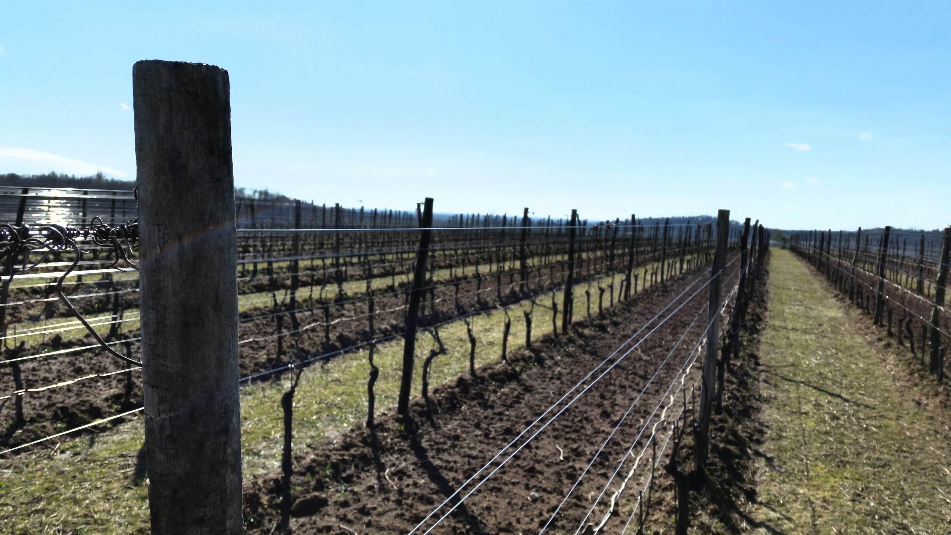 <p>Santa Catarina-&aring;sene og n&aelig;rheten til havet gir Rosazzo et unikt mikroklima med en lett bris, mer sol og mindre regn enn de omkringliggende omr&aring;dene, noe som gj&oslash;r omr&aring;det perfekt for vindyrking. Ponca jordsmonnet (eocen mergel) har optimal drenering, og gir b&aring;de r&oslash;de og hvite viner en fast og elegant karakter.</p>